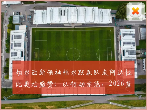 切尔西新领袖帕尔默获队友阿达拉比奥尤盛赞：以行动示范，2026蓝军队内标杆
